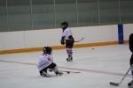 Learning to Get Up